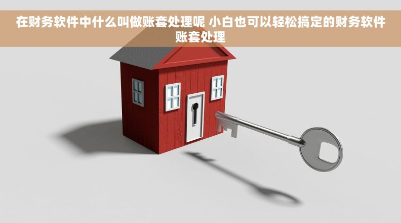 在财务软件中什么叫做账套处理呢 小白也可以轻松搞定的财务软件账套处理