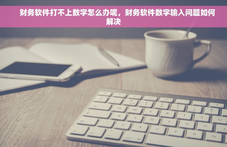     财务软件打不上数字怎么办呢，财务软件数字输入问题如何解决