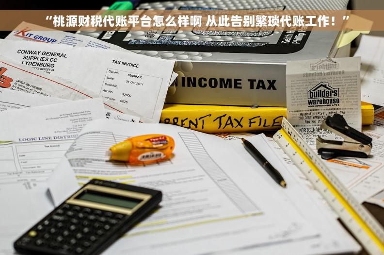 “桃源财税代账平台怎么样啊 从此告别繁琐代账工作！”