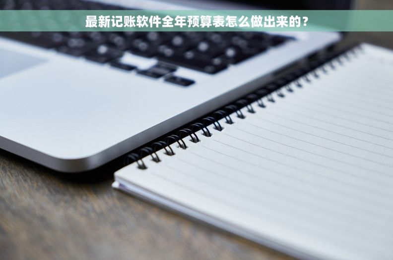 最新记账软件全年预算表怎么做出来的？