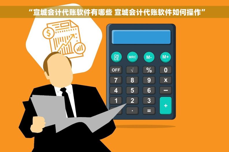 “宣城会计代账软件有哪些 宣城会计代账软件如何操作”
