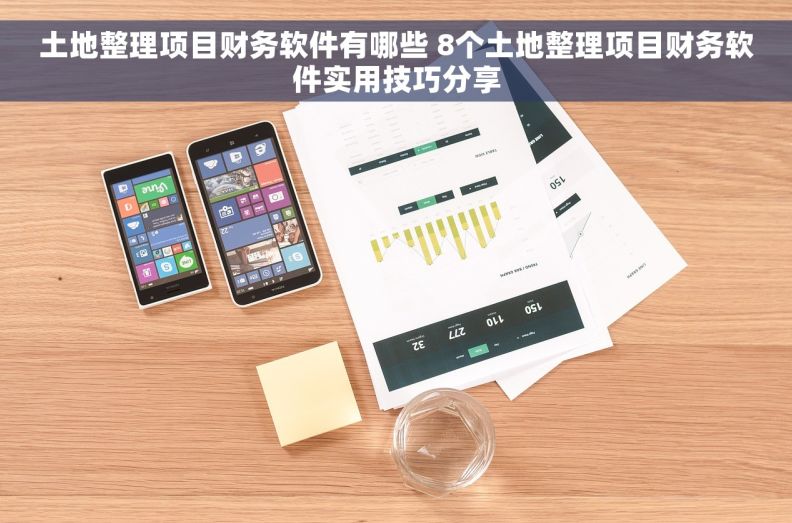 土地整理项目财务软件有哪些 8个土地整理项目财务软件实用技巧分享