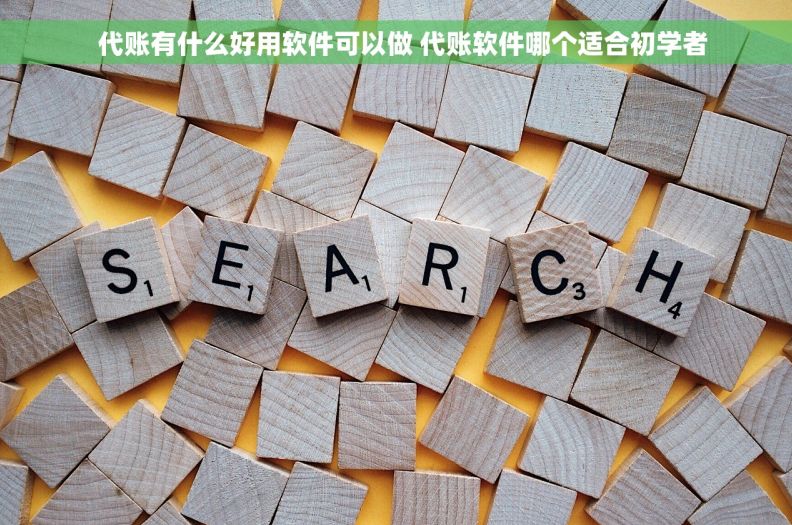   代账有什么好用软件可以做 代账软件哪个适合初学者