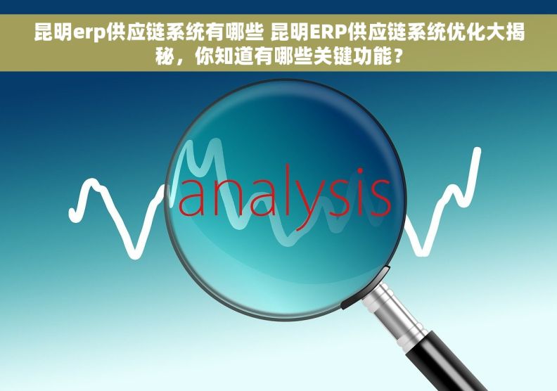 昆明erp供应链系统有哪些 昆明ERP供应链系统优化大揭秘，你知道有哪些关键功能？