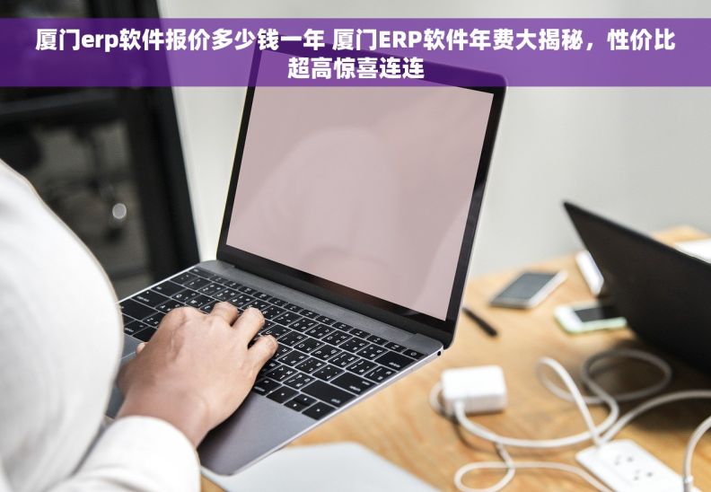 厦门erp软件报价多少钱一年 厦门ERP软件年费大揭秘，性价比超高惊喜连连