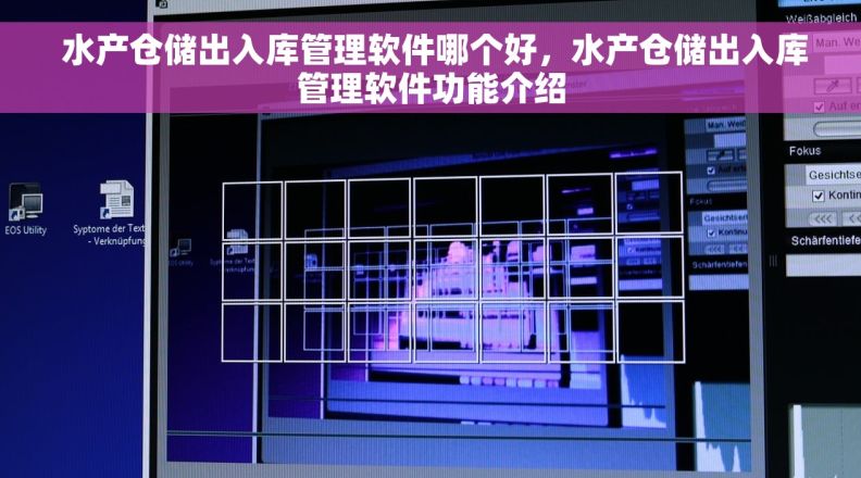  水产仓储出入库管理软件哪个好，水产仓储出入库管理软件功能介绍