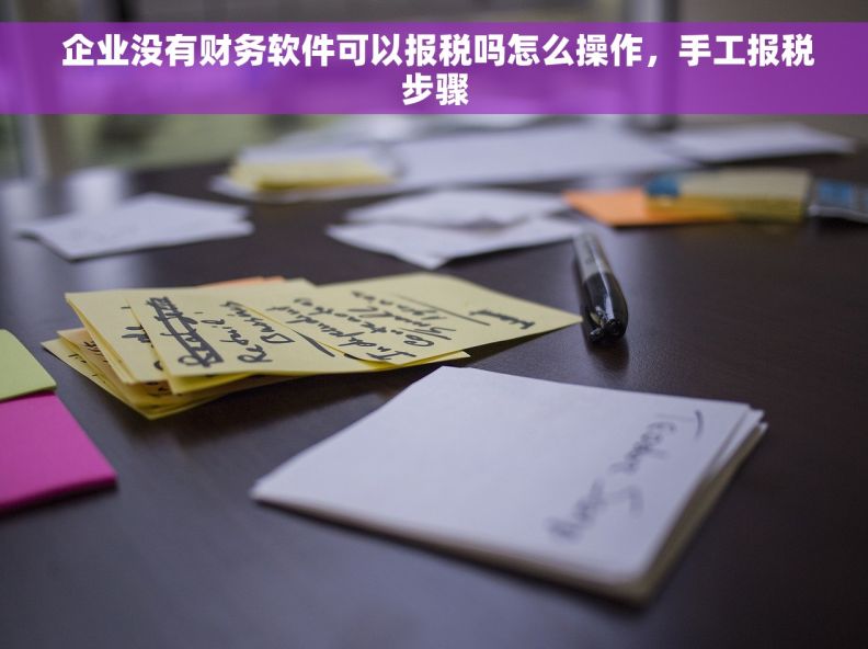  企业没有财务软件可以报税吗怎么操作，手工报税步骤
