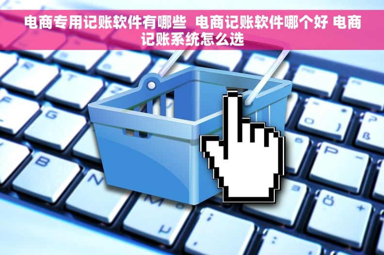 电商专用记账软件有哪些  电商记账软件哪个好 电商记账系统怎么选