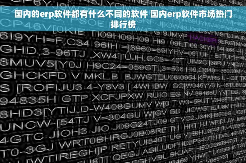 国内的erp软件都有什么不同的软件 国内erp软件市场热门排行榜