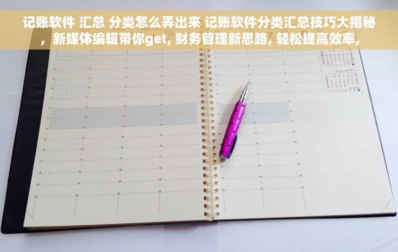记账软件 汇总 分类怎么弄出来 记账软件分类汇总技巧大揭秘，新媒体编辑带你get, 财务管理新思路, 轻松提高效率,