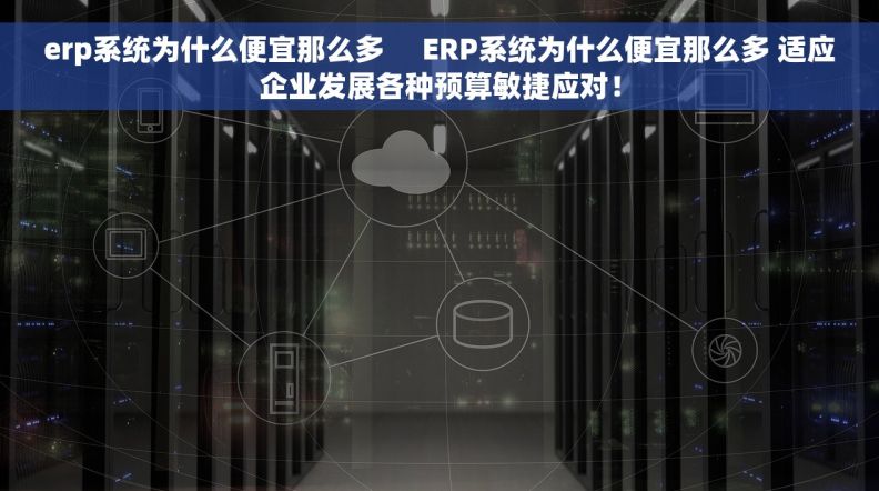 erp系统为什么便宜那么多     ERP系统为什么便宜那么多 适应企业发展各种预算敏捷应对！