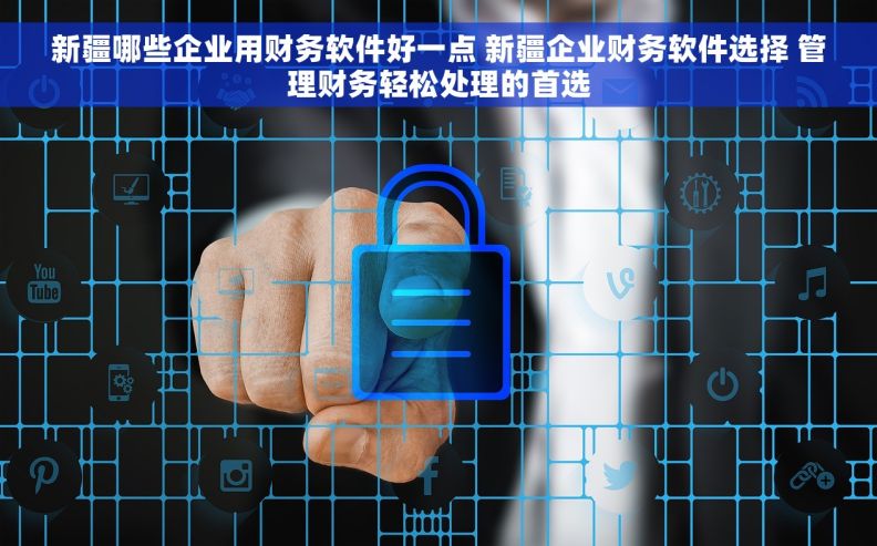新疆哪些企业用财务软件好一点 新疆企业财务软件选择 管理财务轻松处理的首选