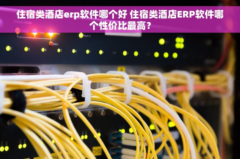 住宿类酒店erp软件哪个好 住宿类酒店ERP软件哪个性价比最高？