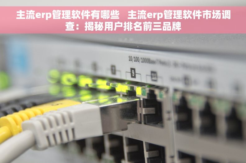 主流erp管理软件有哪些   主流erp管理软件市场调查：揭秘用户排名前三品牌