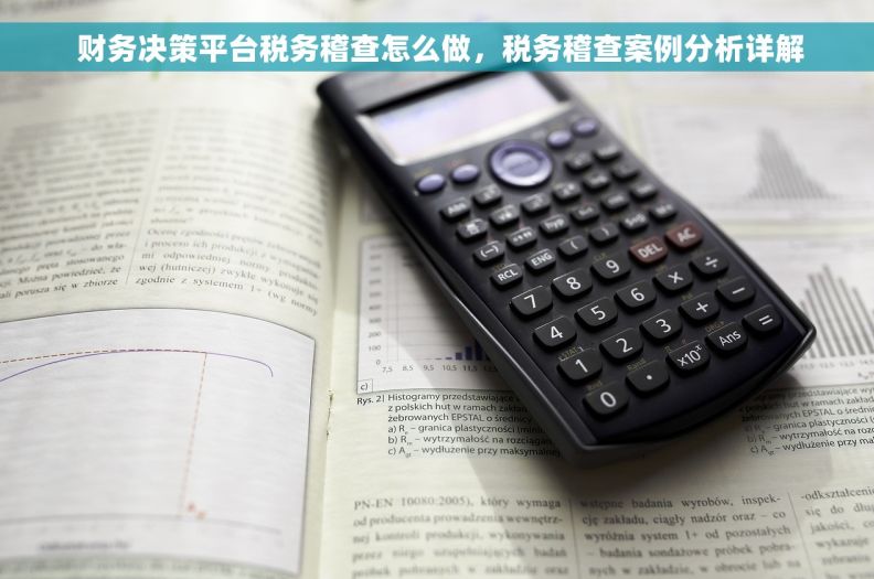  财务决策平台税务稽查怎么做，税务稽查案例分析详解