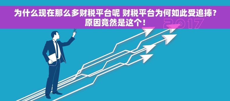为什么现在那么多财税平台呢 财税平台为何如此受追捧？原因竟然是这个！