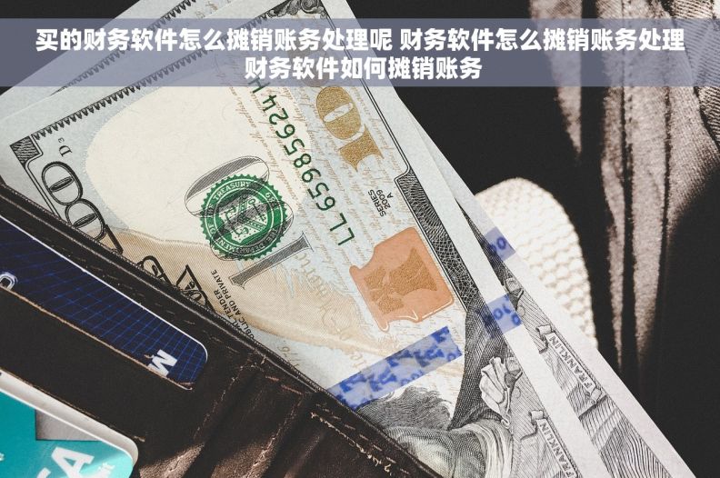 买的财务软件怎么摊销账务处理呢 财务软件怎么摊销账务处理 财务软件如何摊销账务