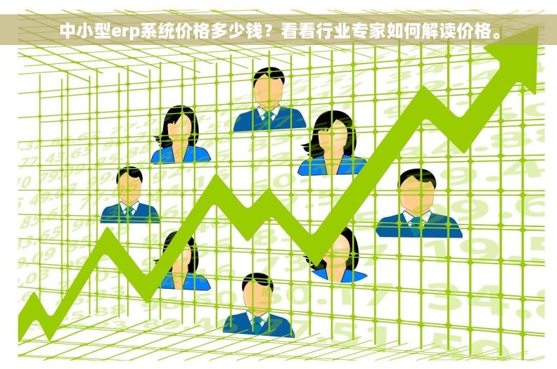 中小型erp系统价格多少钱？看看行业专家如何解读价格。