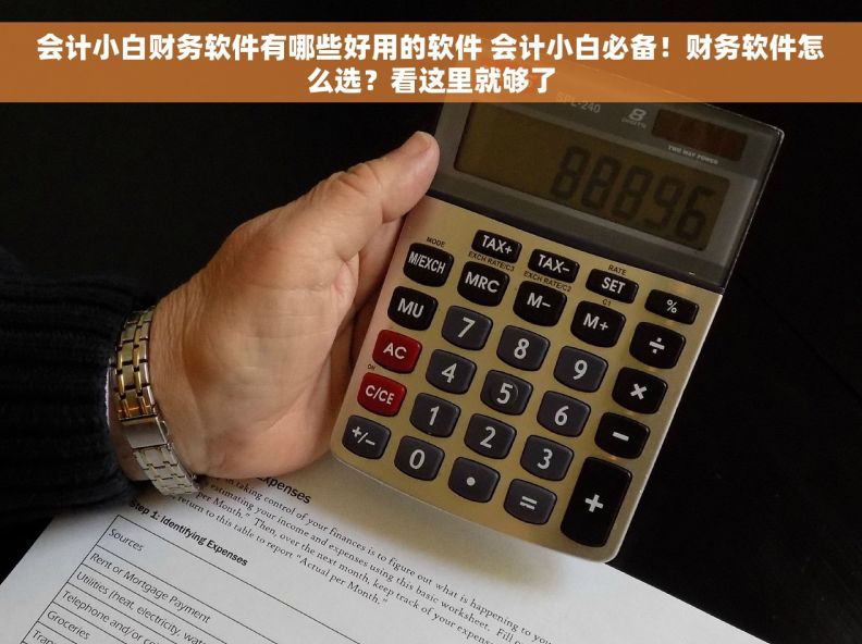 会计小白财务软件有哪些好用的软件 会计小白必备！财务软件怎么选？看这里就够了