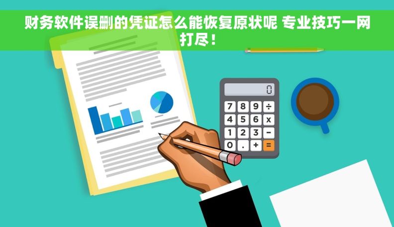 财务软件误删的凭证怎么能恢复原状呢 专业技巧一网打尽！