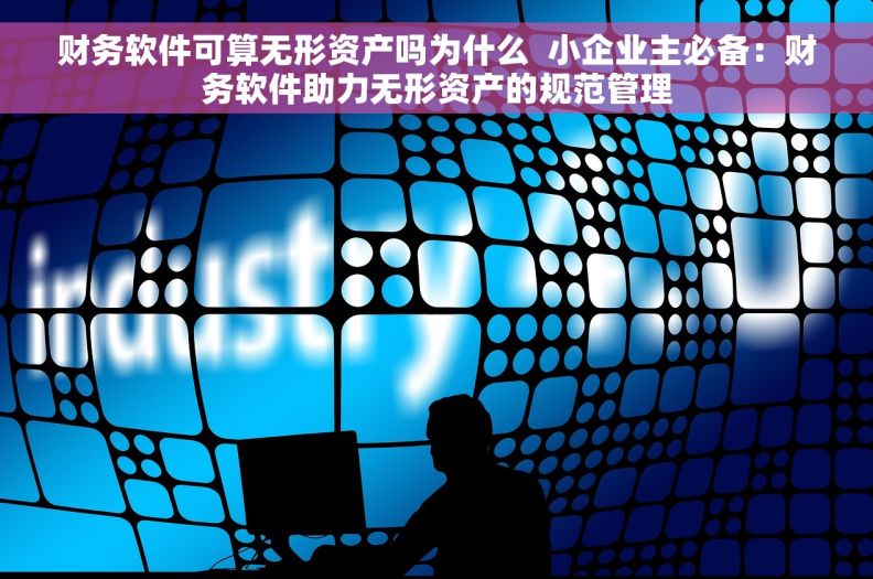 财务软件可算无形资产吗为什么  小企业主必备：财务软件助力无形资产的规范管理
