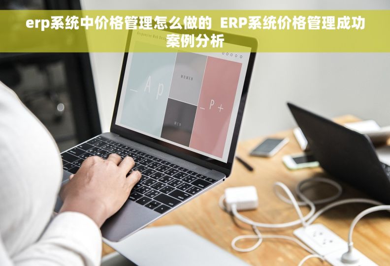 erp系统中价格管理怎么做的  ERP系统价格管理成功案例分析