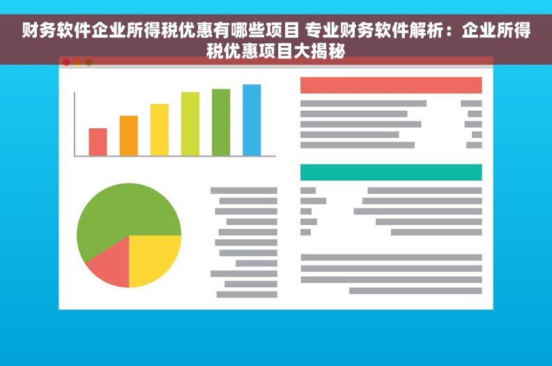 财务软件企业所得税优惠有哪些项目 专业财务软件解析：企业所得税优惠项目大揭秘