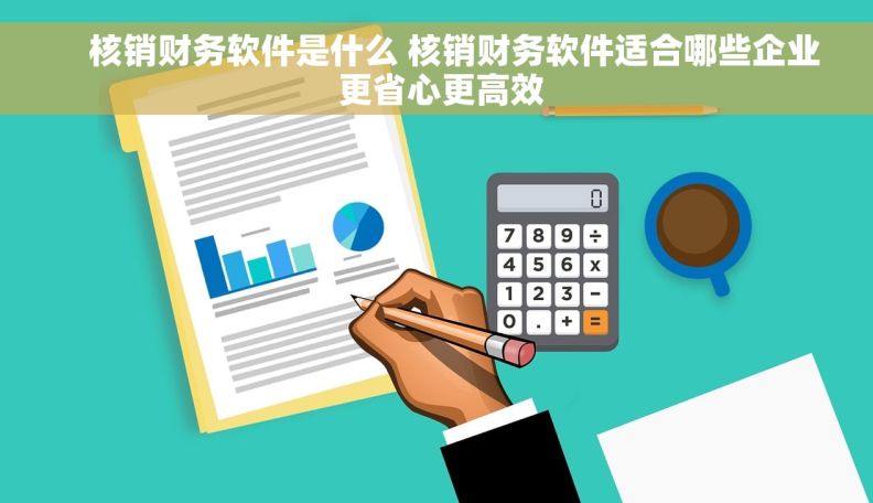     核销财务软件是什么 核销财务软件适合哪些企业 更省心更高效