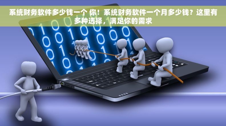 系统财务软件多少钱一个 你！系统财务软件一个月多少钱？这里有多种选择，满足你的需求