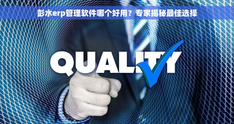彭水erp管理软件哪个好用？专家揭秘最佳选择