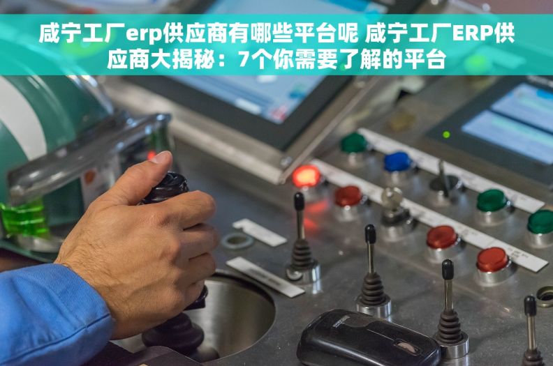咸宁工厂erp供应商有哪些平台呢 咸宁工厂ERP供应商大揭秘：7个你需要了解的平台