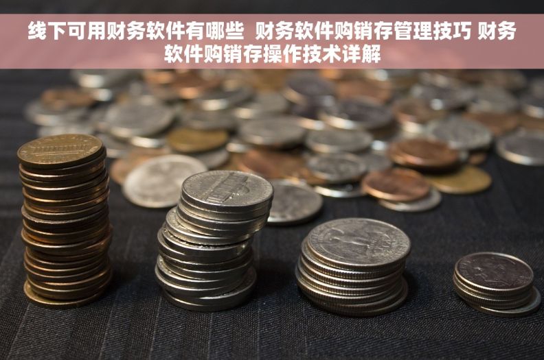 线下可用财务软件有哪些  财务软件购销存管理技巧 财务软件购销存操作技术详解
