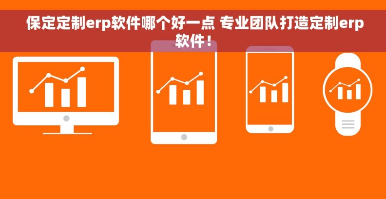  保定定制erp软件哪个好一点 专业团队打造定制erp软件！