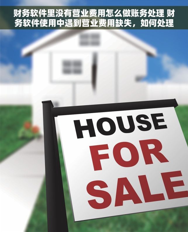 财务软件里没有营业费用怎么做账务处理 财务软件使用中遇到营业费用缺失，如何处理账务？