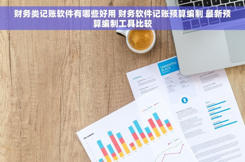 财务类记账软件有哪些好用 财务软件记账预算编制 最新预算编制工具比较
