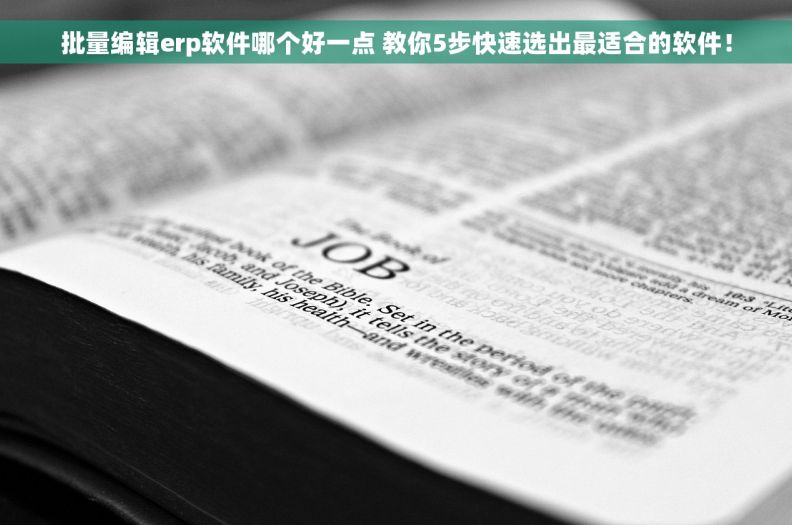 批量编辑erp软件哪个好一点 教你5步快速选出最适合的软件！