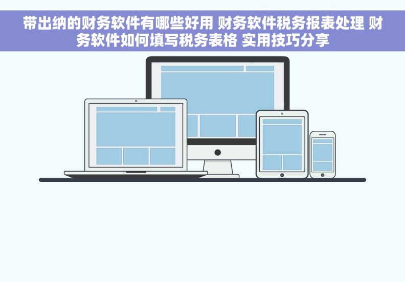 带出纳的财务软件有哪些好用 财务软件税务报表处理 财务软件如何填写税务表格 实用技巧分享