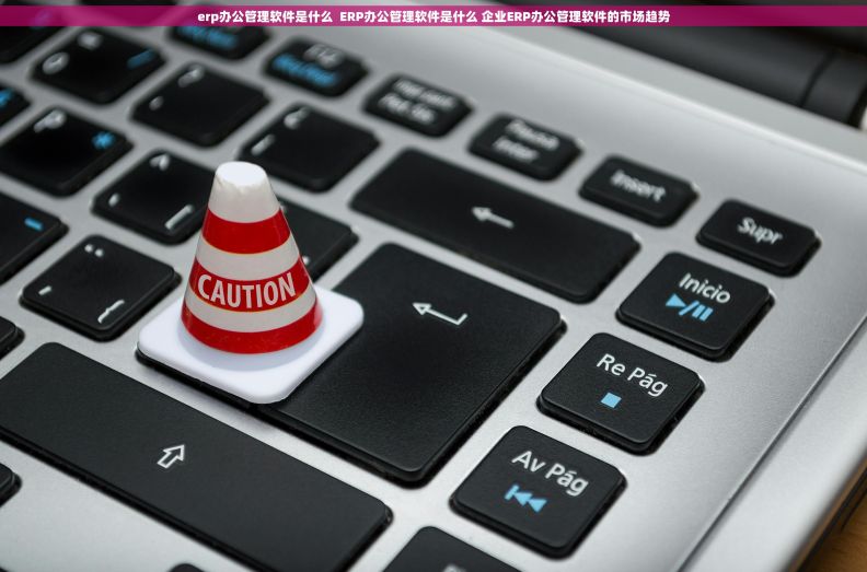 erp办公管理软件是什么  ERP办公管理软件是什么 企业ERP办公管理软件的市场趋势