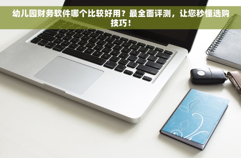 幼儿园财务软件哪个比较好用？最全面评测，让您秒懂选购技巧！