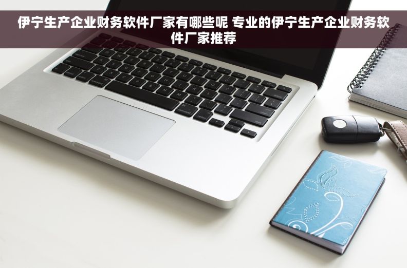 伊宁生产企业财务软件厂家有哪些呢 专业的伊宁生产企业财务软件厂家推荐