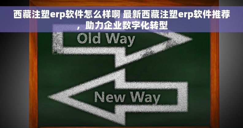 西藏注塑erp软件怎么样啊 最新西藏注塑erp软件推荐，助力企业数字化转型