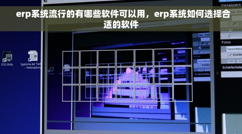   erp系统流行的有哪些软件可以用，erp系统如何选择合适的软件