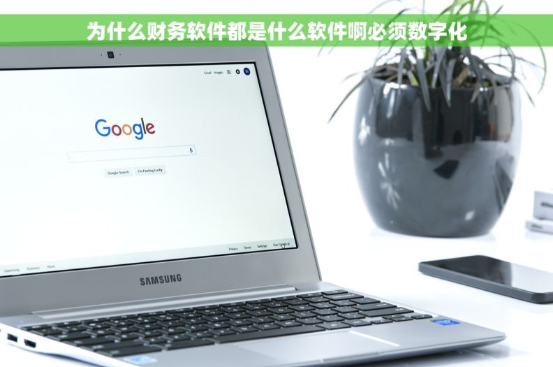 为什么财务软件都是什么软件啊必须数字化