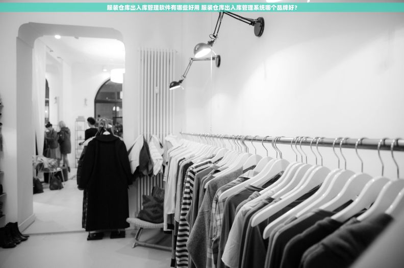 服装仓库出入库管理软件有哪些好用 服装仓库出入库管理系统哪个品牌好？