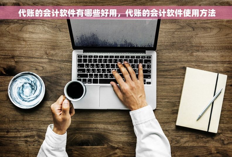  代账的会计软件有哪些好用，代账的会计软件使用方法