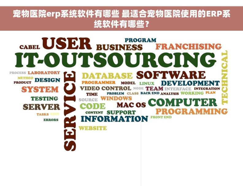 宠物医院erp系统软件有哪些 最适合宠物医院使用的ERP系统软件有哪些？