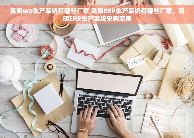 昆明erp生产系统有哪些厂家 昆明ERP生产系统有哪些厂家，昆明ERP生产系统采购流程