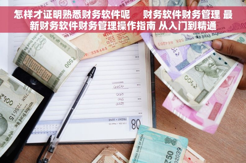 怎样才证明熟悉财务软件呢     财务软件财务管理 最新财务软件财务管理操作指南 从入门到精通