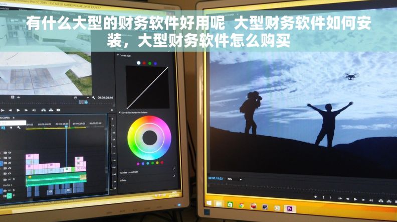 有什么大型的财务软件好用呢  大型财务软件如何安装，大型财务软件怎么购买