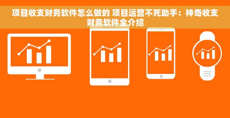 项目收支财务软件怎么做的 项目运营不死助手：神奇收支财务软件全介绍